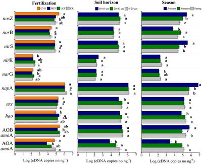 The active functional microbes contribute differently to soil nitrification and denitrification potential under long-term fertilizer regimes in North-East China